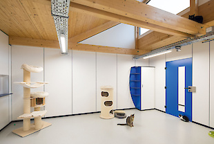 Компакт-плиты Egger и FunderMax в интерьере : Фотоальбом ПКФ Выбор