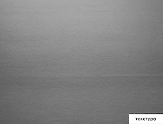 MT Ільм Шампань