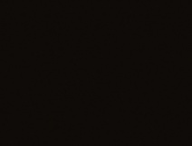 ЛДСП Swiss Krono 16 мм U190 PE Чорний шагрень 2800x2070мм