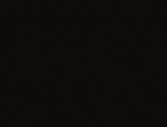 ЛДСП Swiss Krono 16 мм U190 PE Чорний шагрень 2800x2070мм