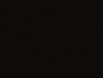 ЛДСП Swiss Krono 16 мм U190 PE Чорний шагрень 2800x2070мм