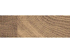 Меблева крайка ABS Egger 43/1.5 мм Q1181 ST37 Дуб Галіфакc тютюн