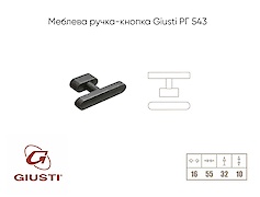 Мебельная ручка-кнопка Giusti РГ 543 WPO786.016.00T2