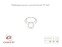 Меблева ручка-кнопка Giusti РГ 549 WPO2025/30.00GP