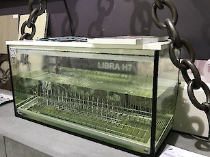 Наповнення для кухні Vibo : Фотоальбом ПКФ Вибір