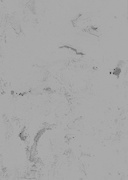 ДСП-18 Alvic Osiris 01 Plata 4256