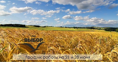 График работы на 21 и 28 июня