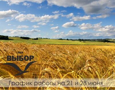График работы на 21 и 28 июня