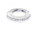 Світлодіодна стрічка Professional (неізольована) SMD2835-120L WW, 13.5W/м, 8 мм