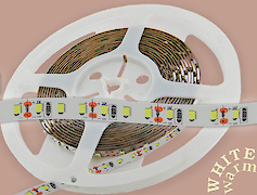 стрічка cвітлодіодна Professional (неізольована) SMD2835-120L WW