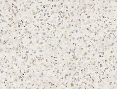 Стільниця Swiss Krono 38 мм 1104 SM Тераццо Кассата 4100x600мм,вологостійка, R3