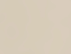 ЛДСП Swiss Krono 18 мм U119 PE Світлий беж 2800х2070