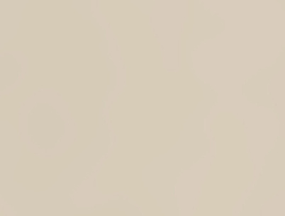 ЛДСП Swiss Krono 18 мм U119 PE Світлий беж 2800х2070