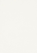 Ламіноване ДСП Egger 16мм W960 SM Білий класичний