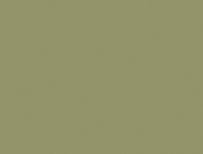 ЛДСП Swiss Krono 18 мм 4439 VL Фісташково-зелений 2800x2070мм