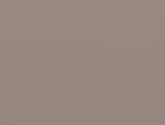 ЛДСП Swiss Krono 18 мм 3062 VL Праліне 2800x2070мм