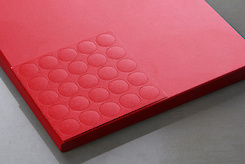 U 321  Китайський червоний