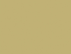 Swiss Krono 4438 VL Діжон жовтий 2800х2070х18мм