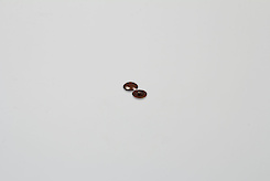 Заглушка до кріпильного гвинта Scilm коричнева