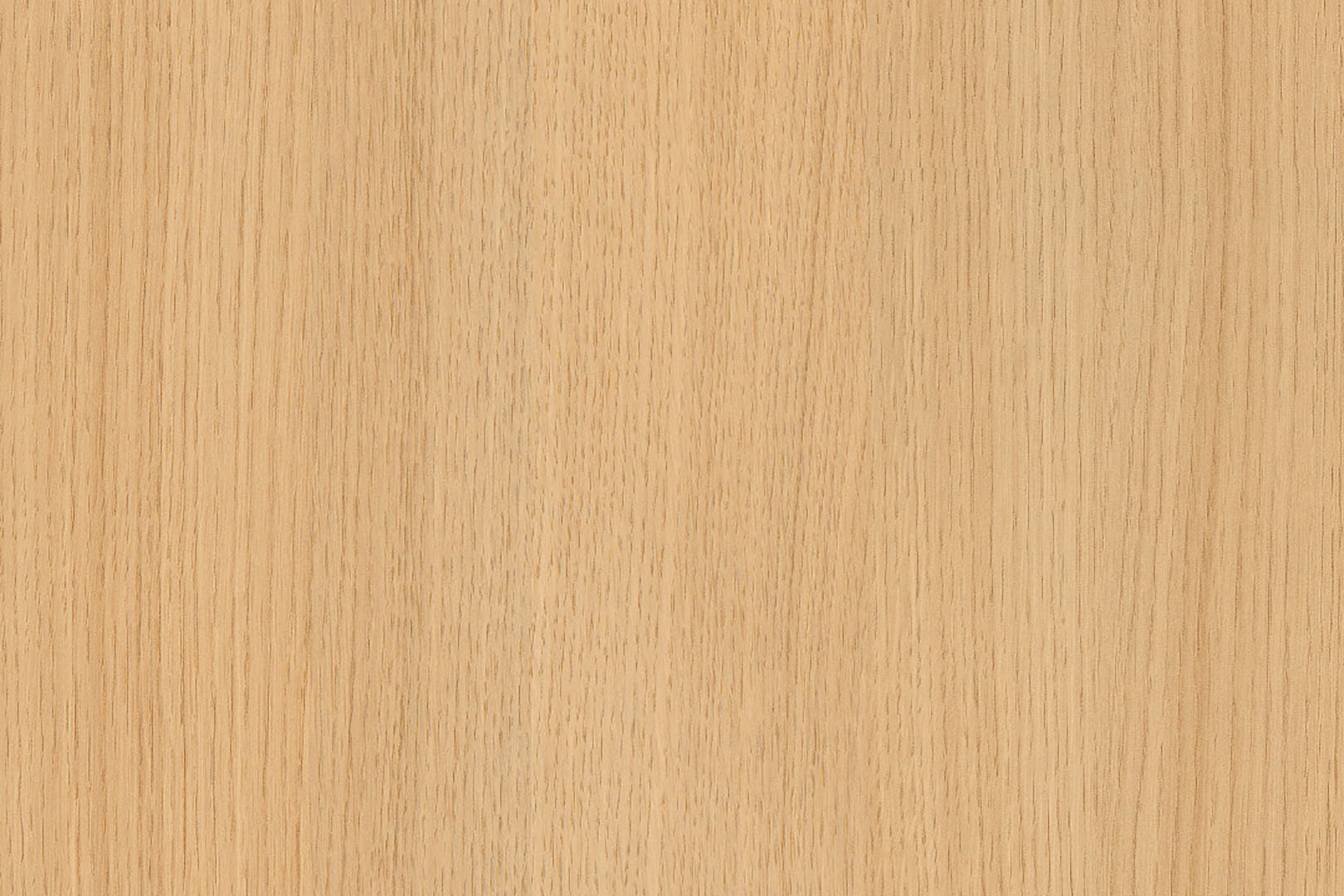 邦楽 albero Duca albero｜ALBUM｜Duca｜Duca ∞stories