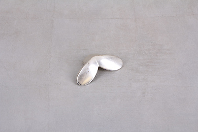 Мебельная ручка Giusti РГ 256 WMN661.C16.00M5 венецианское серебро