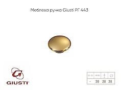 Мебельная ручка Giusti РГ 443 WPO702.030.00GP 