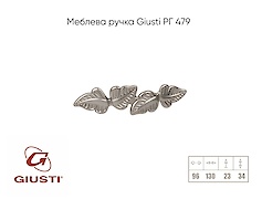 Меблева ручка Giusti РГ 479 WMN719.096.00R3 